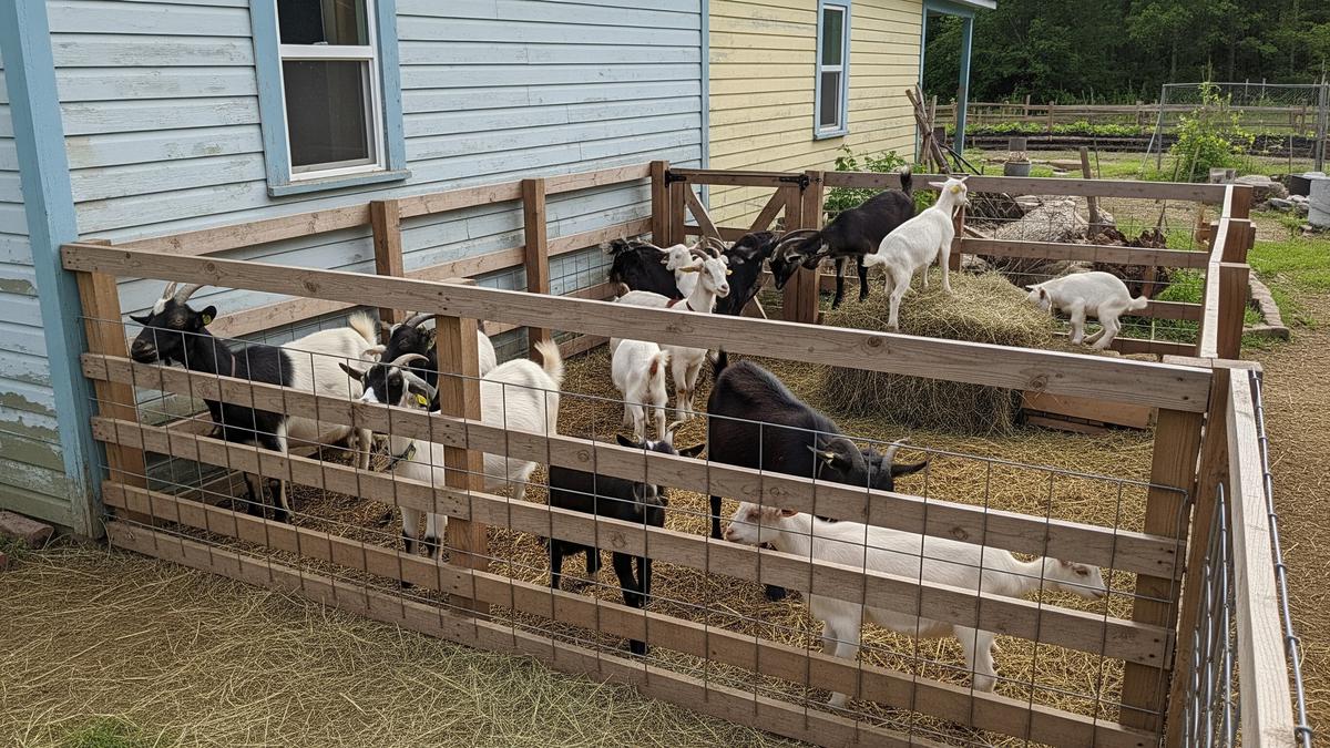 7 Ide Usaha Ternak untuk Pengangguran yang Cepat Menghasilkan