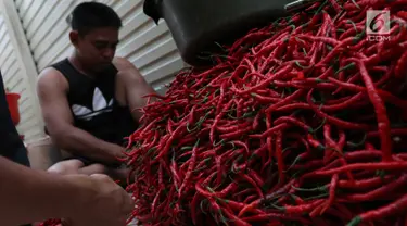 Seorang pedagang memilah cabai di sebuah pasar di Jakarta, Kamis (11/1). Saat ini harga cabai rawit merah naik sebesar Rp 20 ribu hingga Rp 30 ribu per kilogram. (Liputan6.com/Angga Yuniar)