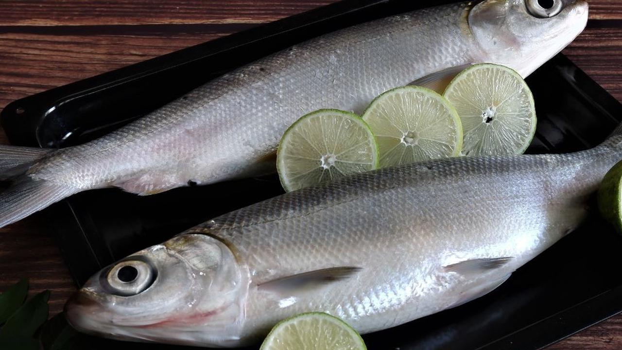 Apakah Ikan Bandeng Mengandung Kolesterol? Ini Penjelasan Lengkapnya