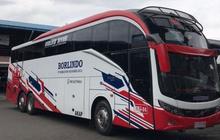 Sejarah PO Borlindo, si Pemain Baru yang Tampil Mengesankan Punya Bus Tingkat Tiga.