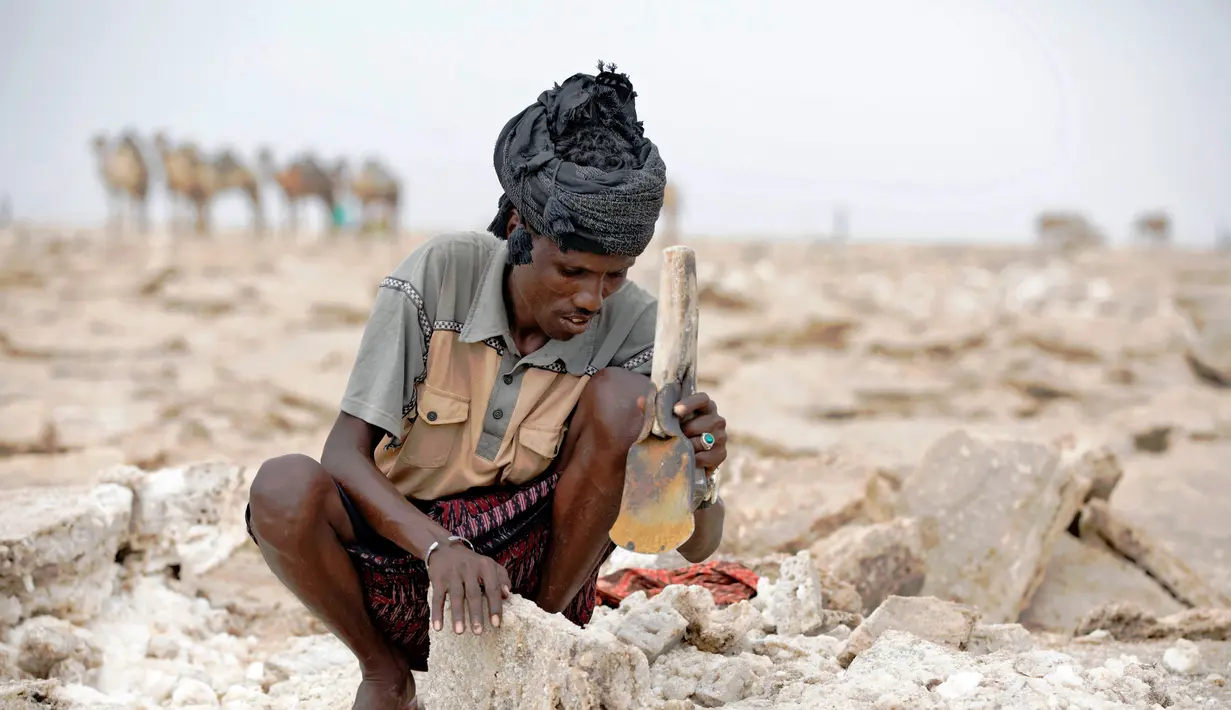 Seorang pria mengolah tanah untuk manjadi garam di tambang garam di Danakil Depression, Afar, Ethiopia (28/3). Para pekerja hanya menggunakan alat pencungkil dan kapak sederhana untuk memotong bongkahan garam. (AFP Photo/Zacharias Abubeker)