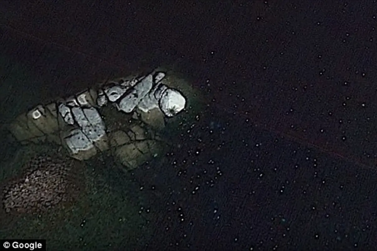 Penampakan Laba-laba Raksasa di Pulau Tak Berpenghuni, Alien?