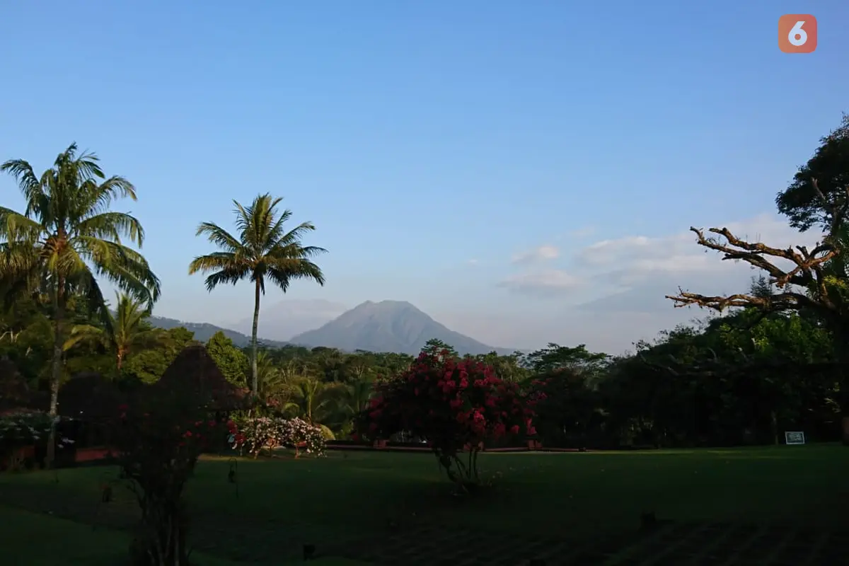 Warisan Pengusaha Kopi Belanda di Antara 5 Gunung Tinggi Magelang