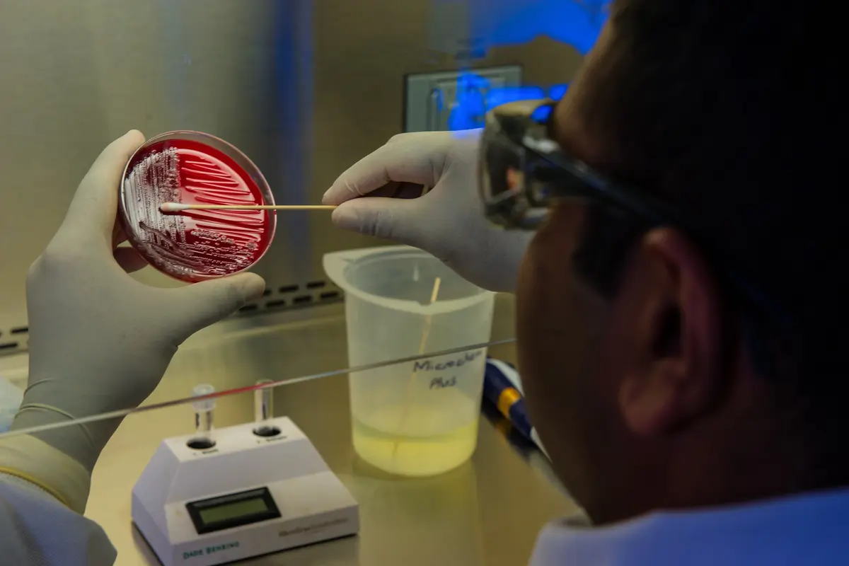 Tes DNA