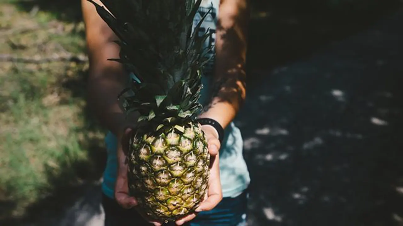 Buah nanas kaya manfaat./Copyright pixabay.com