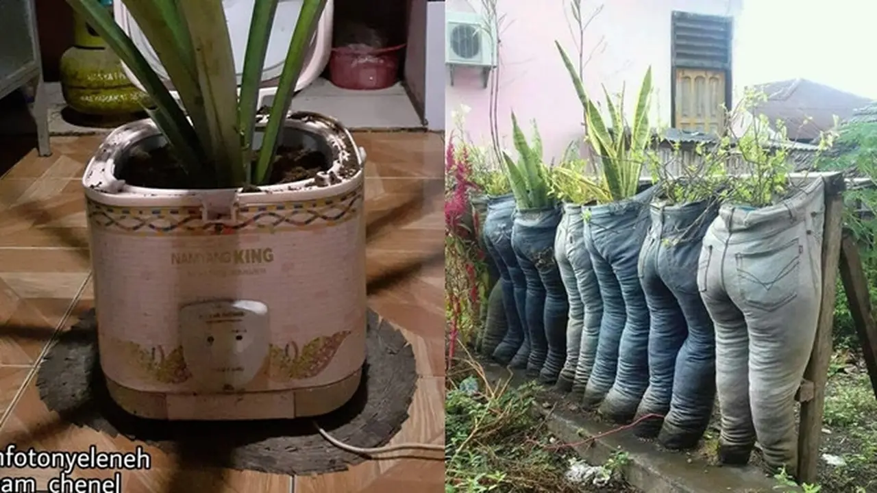 Kocak Abis, 6 Tanaman Ini Punya Pot Anti Mainstream yang Bikin Ngakak