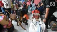 Anjing pelacak K9 BNN mengendus para penumpang di Terminal Kampung Rambutan, Jakarta, Rabu (27/04/20222). Pemeriksaan dengan anjing pelacak tersebut dilakukan guna mengantisipasi peredaran narkoba di tengah arus mudik menyambut Lebaran atau Hari Raya Idul Fitri 1443 H. (merdeka.com/Arie Basuki)