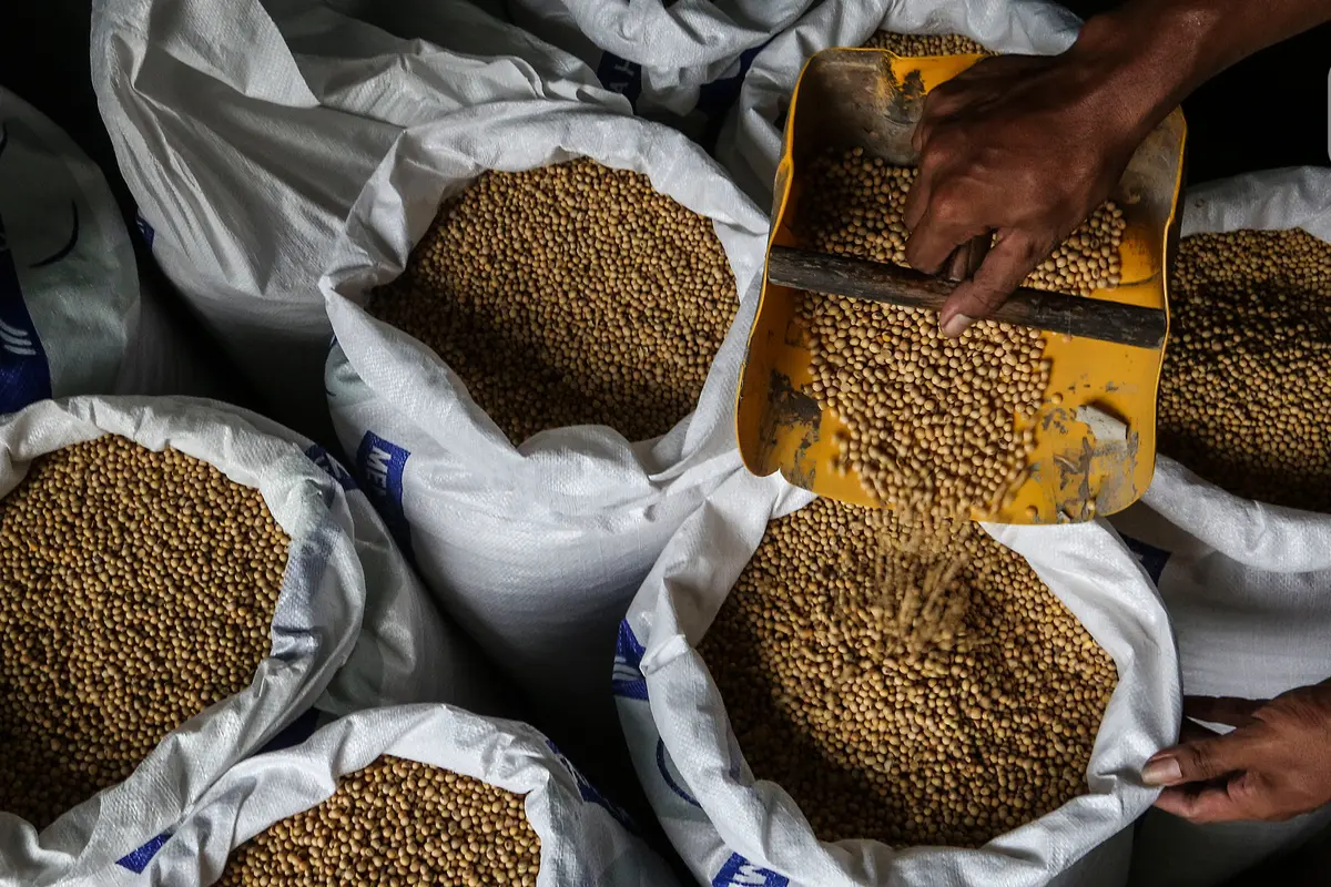 Harga Kedelai Diperkirakan Masih Tinggi
