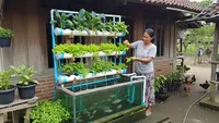 10 Ide Aquaponik Rumahan agar IRT Bisa Panen Sayur dan Ikan Sekaligus, Tidak Boros Belanja
