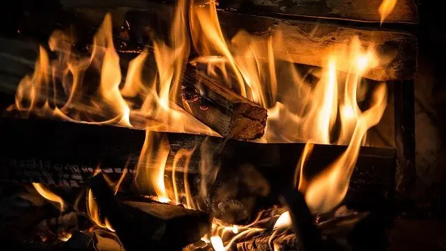 The Four Elements of the Zodiac