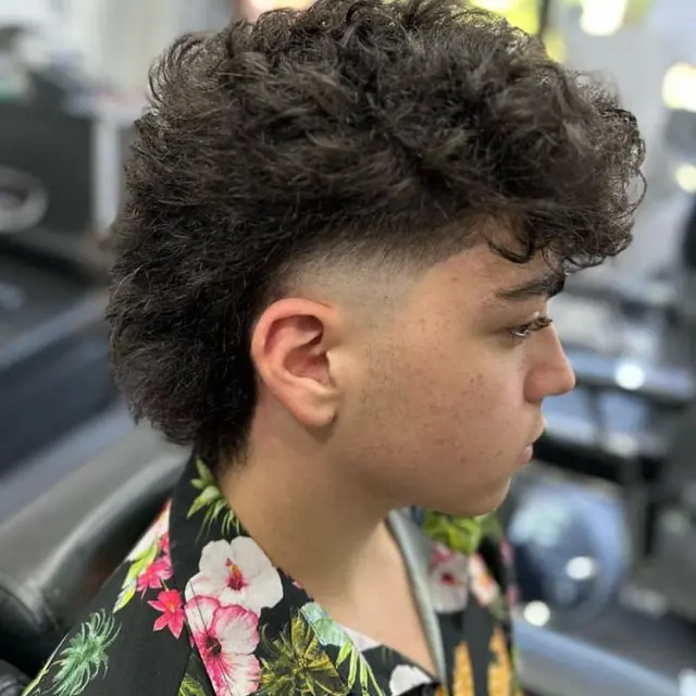 Ilustrasi Mullet Fade Curly Undercut