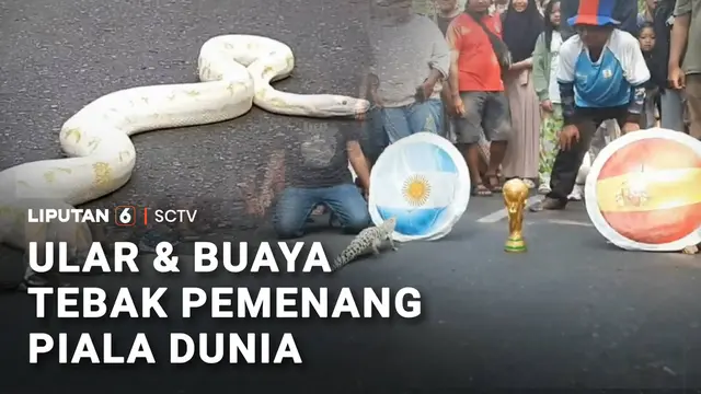 Tebak Pemenang Piala Dunia 2026 dengan Buaya