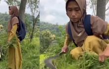 Dedikasi Guru TK Tak Bergaji Tiap Hari Ajari Belasan Anak, ke Sekolah Bawa Kambing hingga Cari Rumput