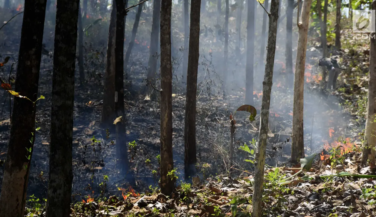 Asap putih mengepul saat api membakar hutan jati di Kecamatan Juwangi Boyolali, Jawa Tengah, Senin (6/8). (Liputan6.com/Gholib)