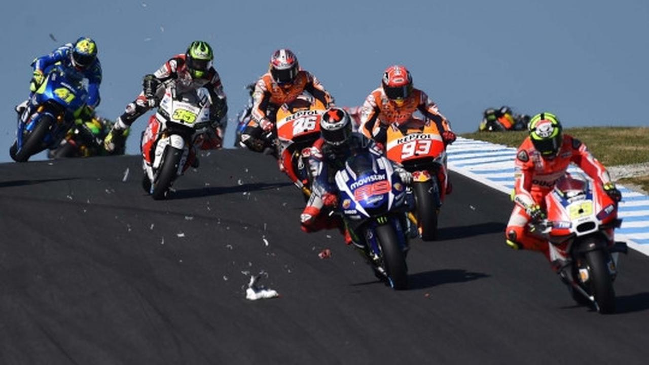 Nasib tragis burung camar jadi 'tumbal' MotoGP di Phillip Island