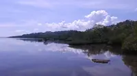 Bahowo, Benteng Terakhir Mangrove dari Gempuran Reklamasi Manado