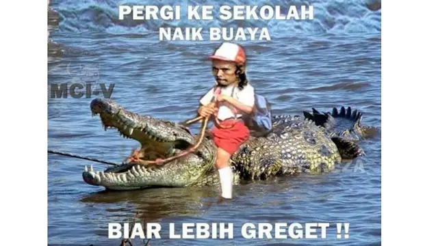 5 Foto Editan Buaya Berpose Ini Kocak, Bikin Ketawa