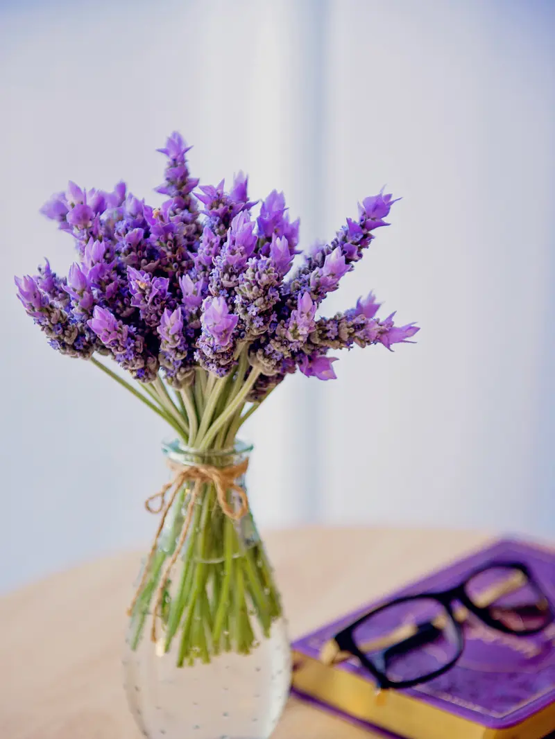 bunga lavender