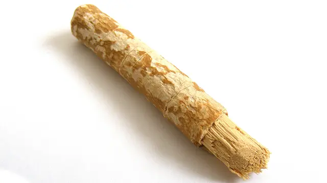 Siwak