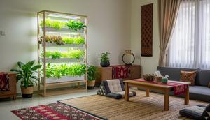 Inspirasi Desain Rak Hidroponik Vertikal yang Menyatu dengan Dekorasi Ruang Tamu/ Ilustrasi gambar oleh AI