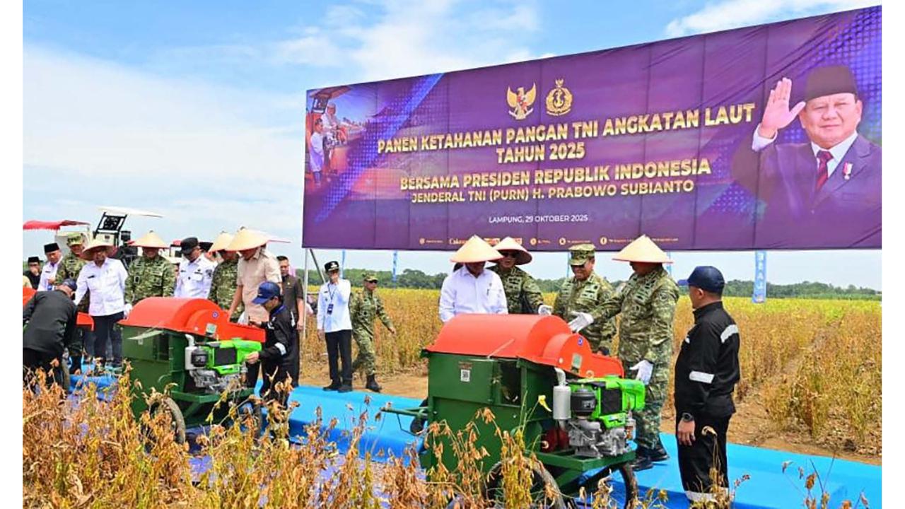 FOTO: TNI AL Panen Kedelai di Lampung Utara, Dorong Swasembada Pangan Nasional