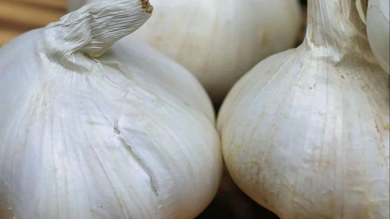Ramuan Bawang Putih<br>