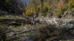 Seorang pria Kashmir memandu kudanya yang digunakan untuk perjalanan wisata di Naranag, utara Srinagar, Kashmir yang dikuasai India, Minggu (31/10/2021). Tempat wisata ini terkenal karena padang rumput, danau, dan pegunungannya yang indah. (AP Photo/Dar Yasin)