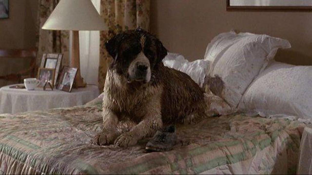 5 Best Comedy Movies About Lovely Pets You Must Watch