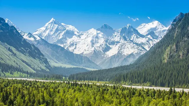 Merayakan Hari Menanam Pohon Nasional yang ke 41 tahun di China, Inilah 5 Hutan China yang Paling Indah
