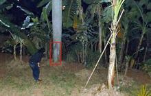 Diary Mistery Jakarta', komunitas pemburu foto hantu