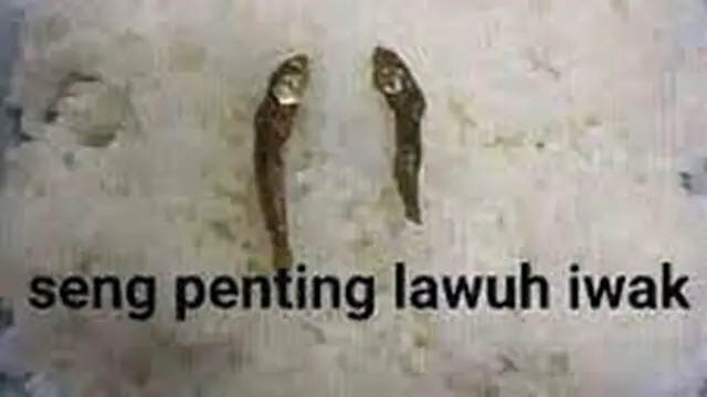 10 Lauk Makan Pakai Ikan Ini Dijamin Enggak Bikin Kenyang, Kocak