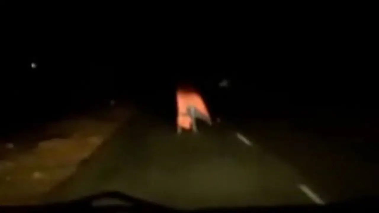 penampakan, video menyeramkan
