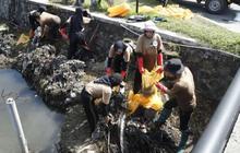 Wujudkan Komitmen Hijau, 28 BUMN Keroyokan Olah Sampah di Destinasi Wisata Super Prioritas