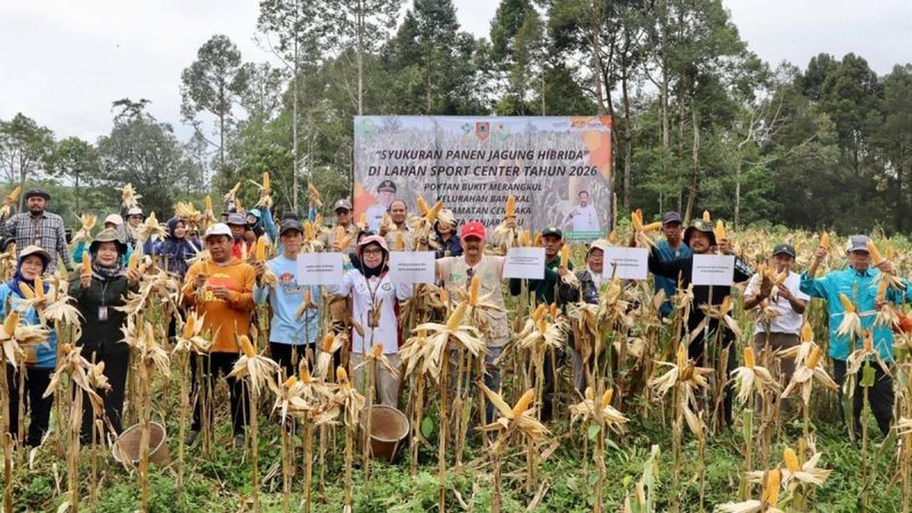 DPKP Kalsel Kembangkan Kawasan Pertanian Terpadu Bukit Merangkul untuk Ketahanan Pangan Daerah