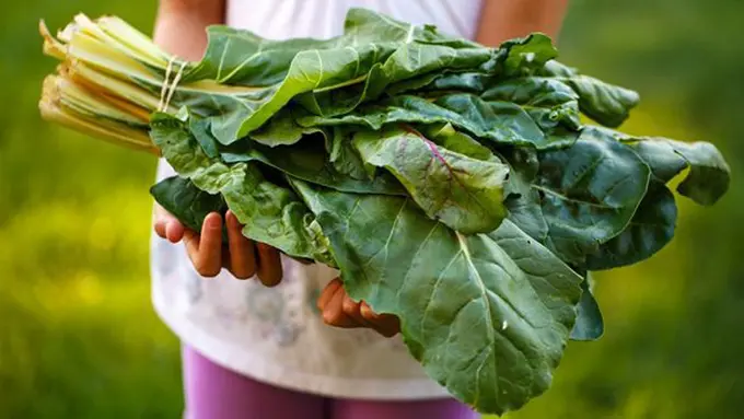 Makan makanan berserat/copyright Unsplash.com