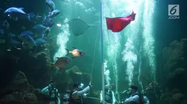 Penyelam melakukan upacara pengibaran bendera di Aquarium Utama Sea World Ancol, Jakarta, Senin (12/8/2019). Pengibaran bendera diadakan dalam rangka menyambut HUT ke-74 RI pada 17 Agustus mendatang. (Liputan6.com/Immanuel Antonius)