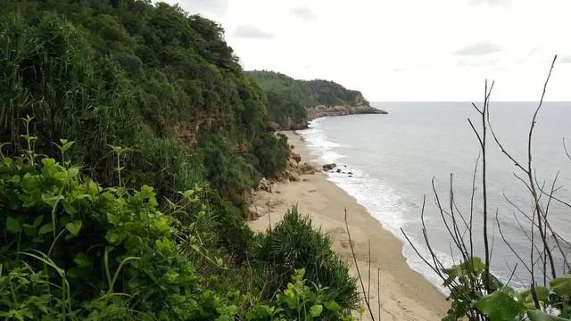 5 Pantai di Jawa Timur Dengan Pesona Air Terjun Didekatnya