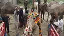 Pedagang menaikkan unta ke atas truk setelah berjualan di pasar hewan yang disiapkan untuk Idul Adha di Lahore pada Minggu (4/8/2019). Umat Islam di seluruh dunia akan merayakan Hari Raya Idul Adha yang identik dengan tradisi berkurban seperti kambing, domba, onta, sapi dan kerbau. (ARIF ALI / AFP)