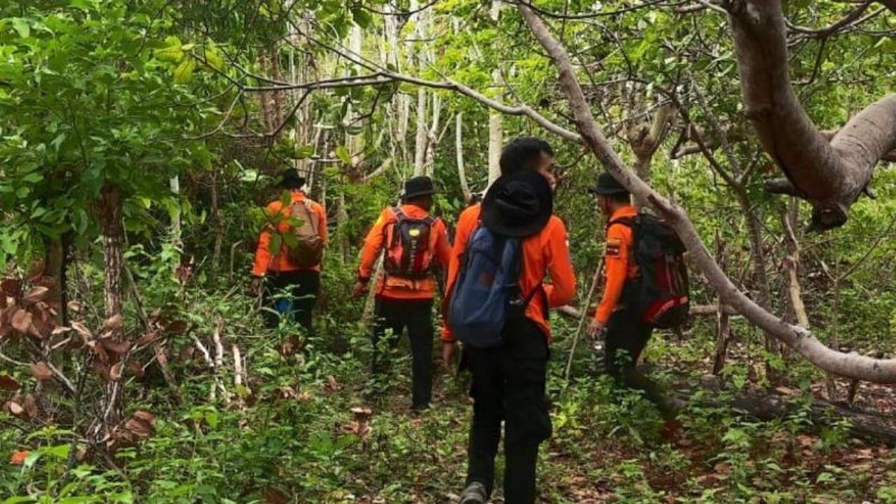 Basarnas Terus Lakukan Pencarian Lansia Tersesat di Hutan Selayar