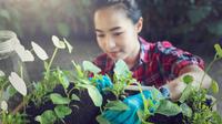 Aktivitas berkebun dapat menyalurkan kecermatan sekaligus memberi kepuasan saat melihat hasil yang rapi, teratur, dan tumbuh sempurna sesuai rencana. (Foto dok: Freepik/EyeEm).