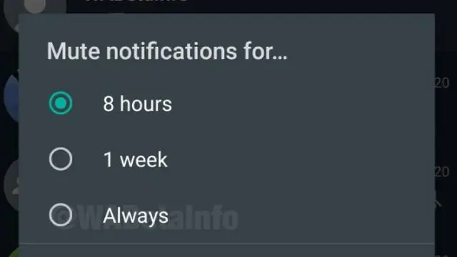 Fitur Always Mute untuk mematikan notifikasi chat di WhatsApp Group selamanya. Dok: wabetainfo.com