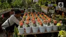 Pameran ini juga sebagai upaya dinas pertamanan dan hutan kota secara konsisten melakukan penghijauan dengan penanaman pohon di seluruh wilayah kota. (Liputan6.com/Faizal Fanani)