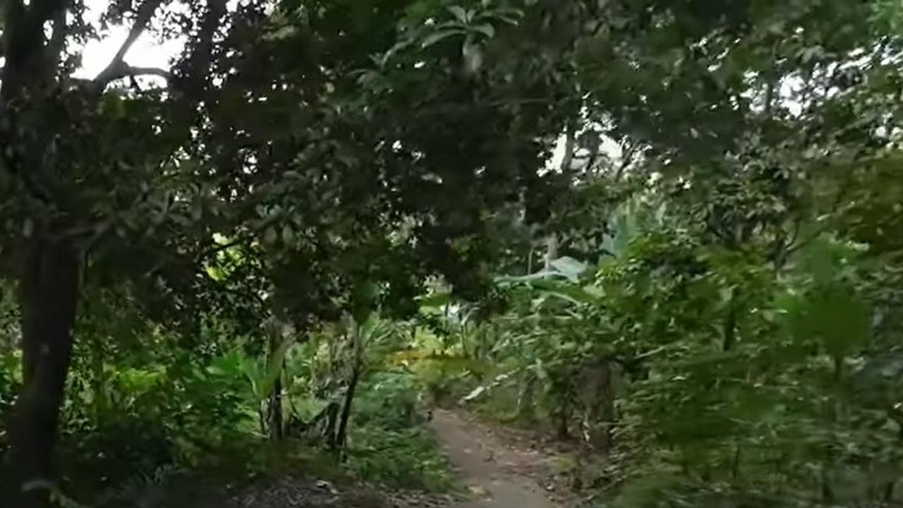 Rute mengerikan menuju Kampung Puncak Manik