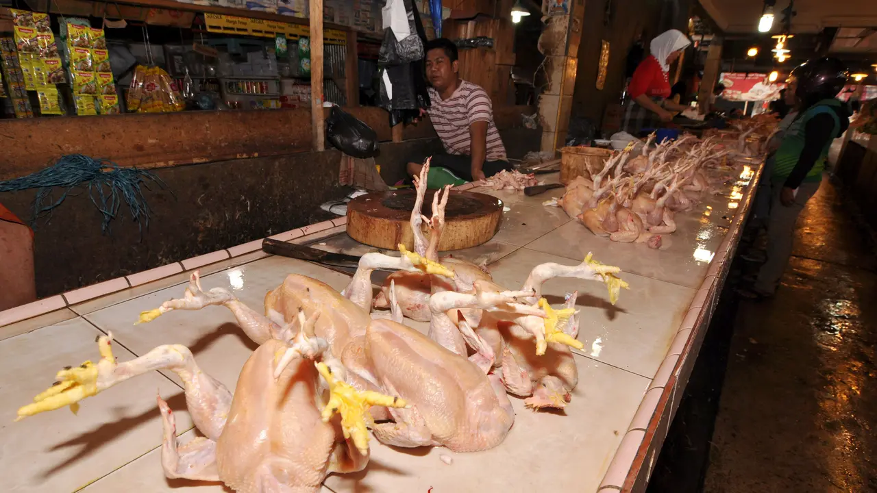 Omzet Pedagang Ayam Potong di Palu Anjlok Usai Lebaran