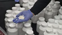 Polisi Kejar Pemasok 96.000 Obat 'Ngefly' Ilegal yang Diamankan BBPOM Makassar