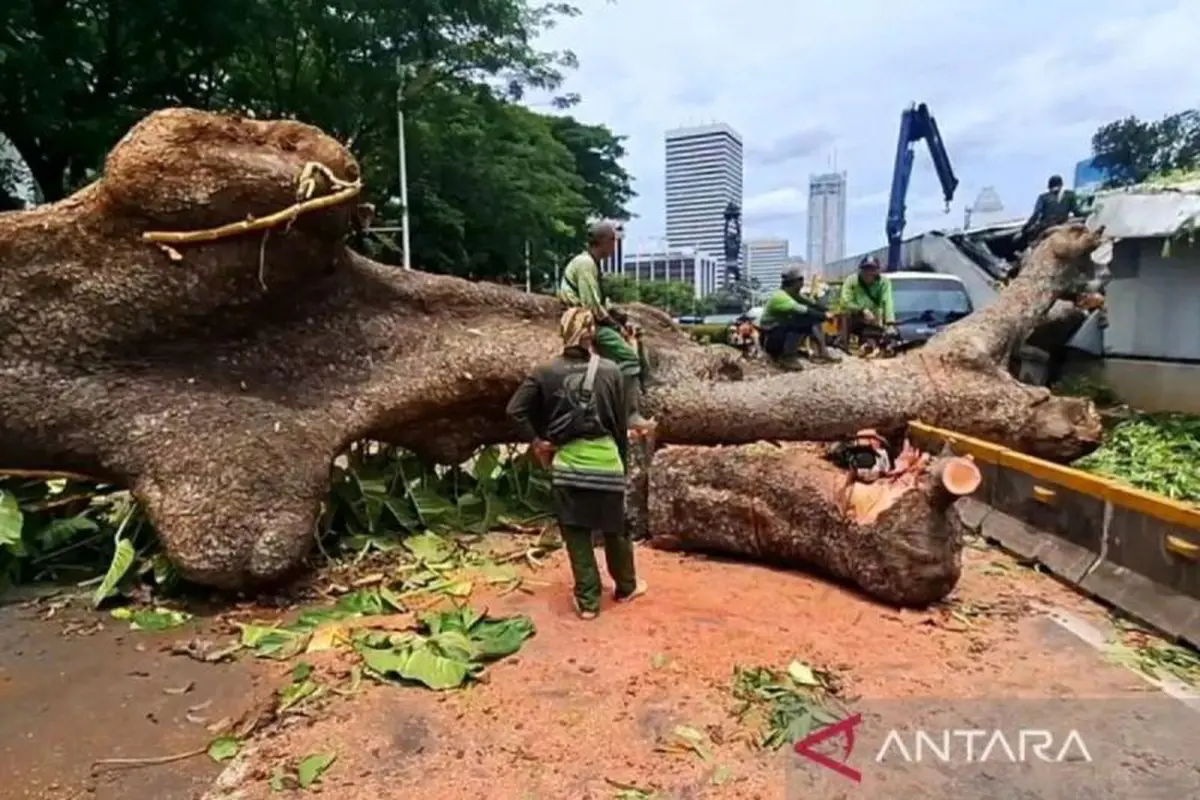 Pohon tumbang menimpa fasilitas MRT