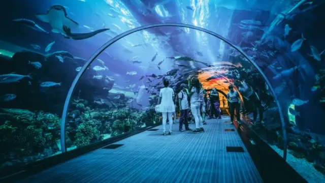 Datang ke Tempat Ini, Akan Dapat Tiket Liburan Gratis