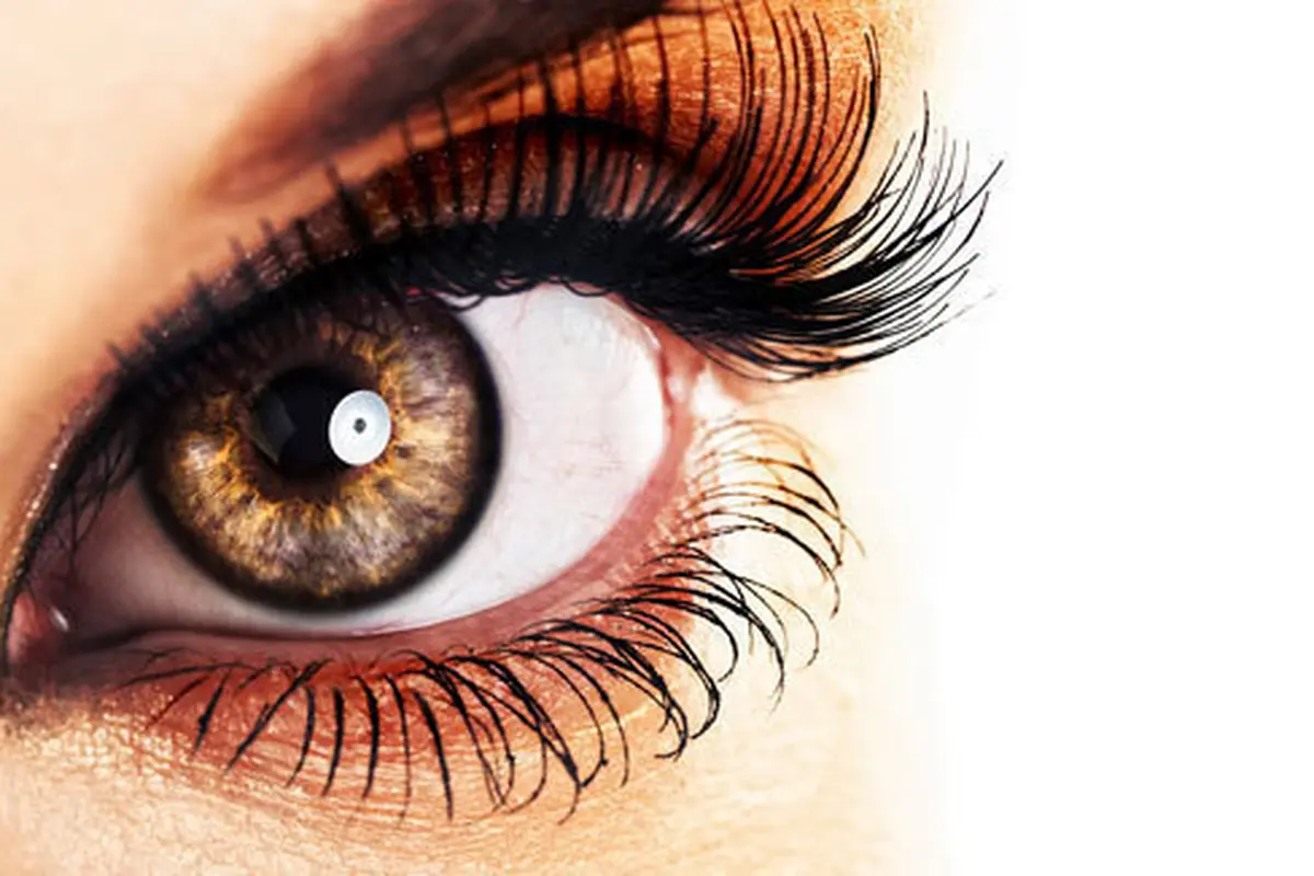 (C) shutterstock