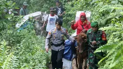 Polisi dan tentara mengawal petugas Pemilu 2019 yang menaiki kuda untuk mendistribusikan logistik ke TPS di desa-desa terpencil di Tempurejo, Jawa Timur, Senin (15/4). Petugas membawa kotak suara dan perlengkapan pemilu lainnya. (AP Photo/Trisnadi)