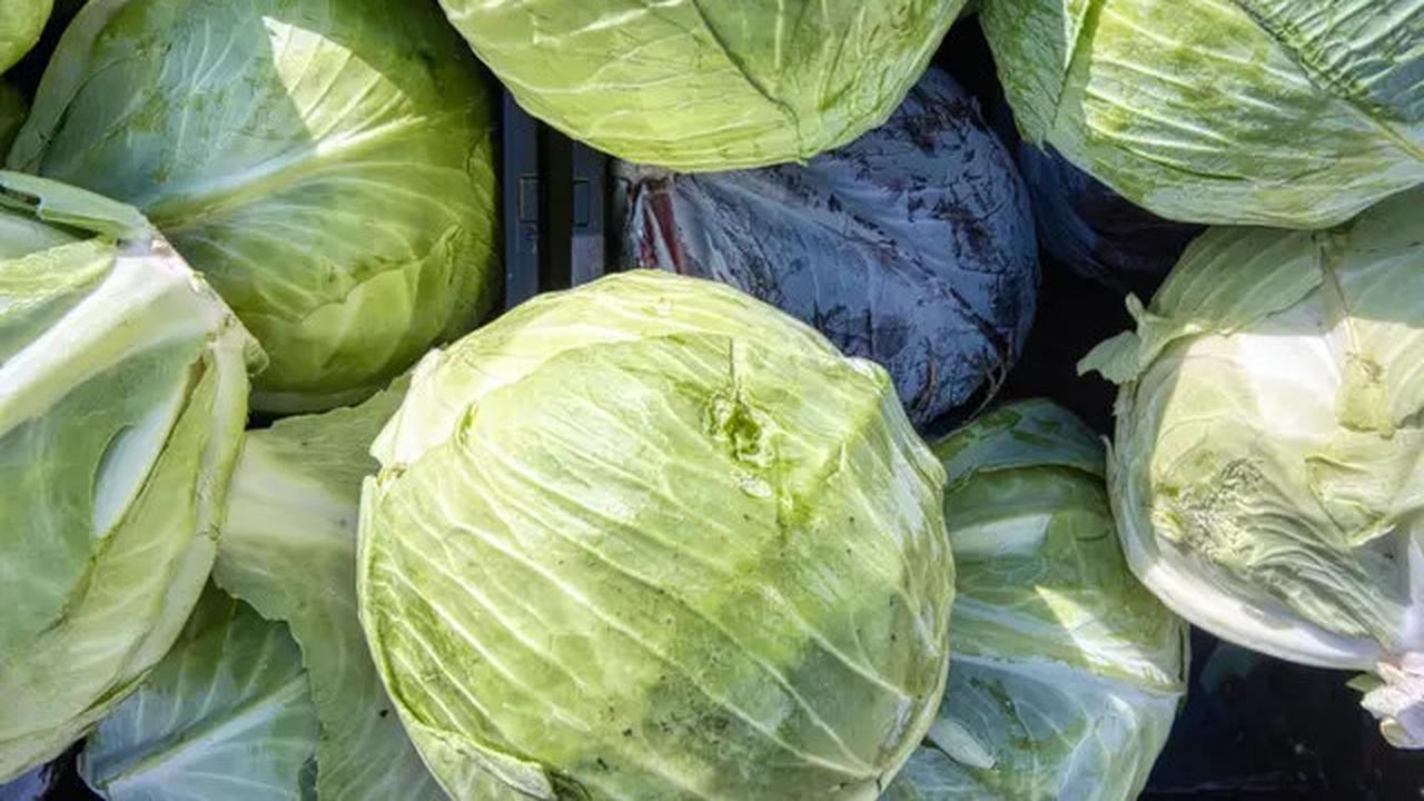 Trik Menggulung Kubis untuk Siomay, Rapi seperti Pedagang Keliling
